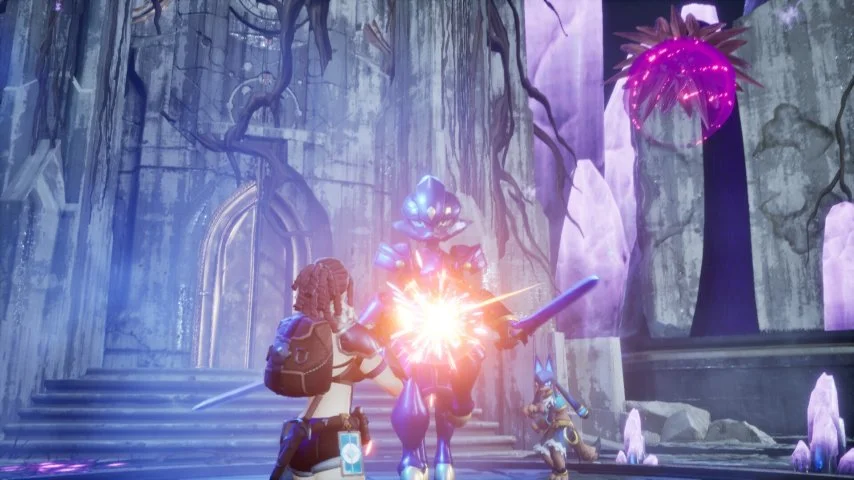 壮丽画卷,成群蛎鹬翱,翔似海浪般,世界杯足球地址,世界杯足球入口,世界杯赛事资讯,足球世界杯信息,足球赛事平台