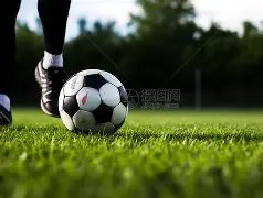 韩篮甲分析,釜山,原州东浦,世界杯足球地址,世界杯足球入口,世界杯赛事资讯,足球世界杯信息,足球赛事平台