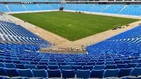 哈尔滨：探寻《两只老虎》中“滨滨”与“妮妮”身份之谜