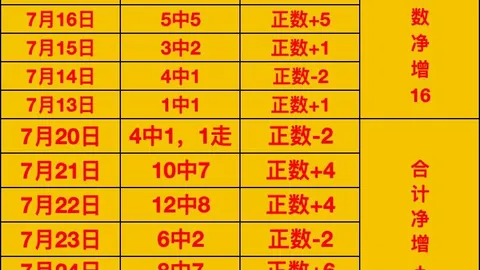 巴西甲赛事深度解析：米拉索尔对阵雷莫，不容错过的比分攻略